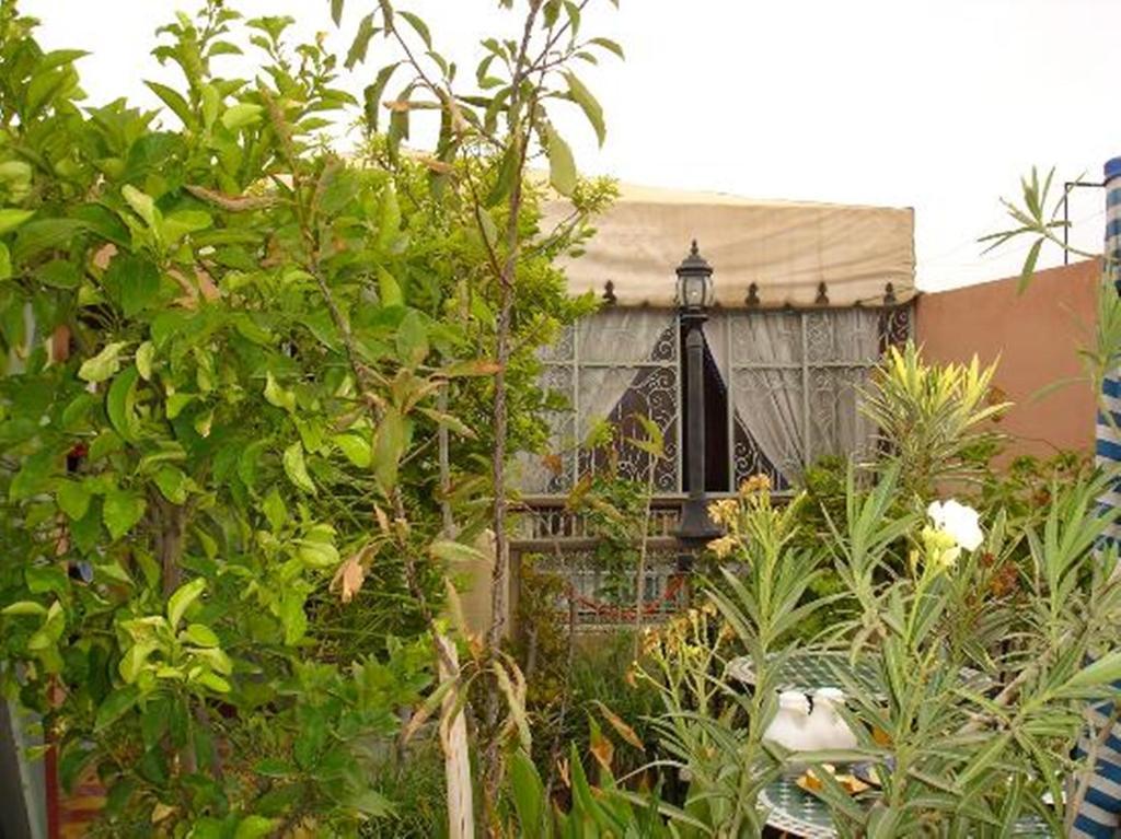 Hôtel Belleville Marrakech Marrakesh Esterno foto